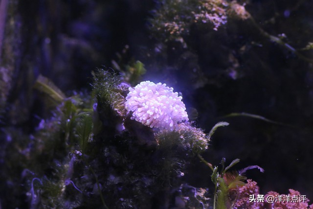 杭州长乔极地海洋公园门票多少钱,杭州长乔极地海洋公园有寄存吗