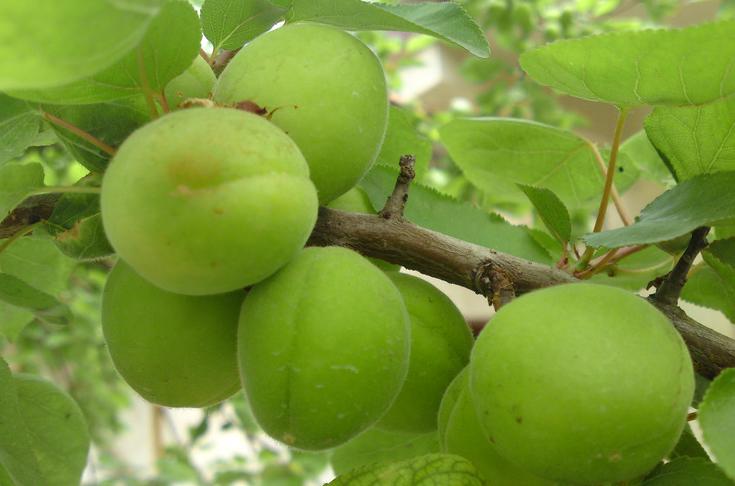 意境深远的绝美古诗词,古诗史上最唯美最断肠的七首诗词