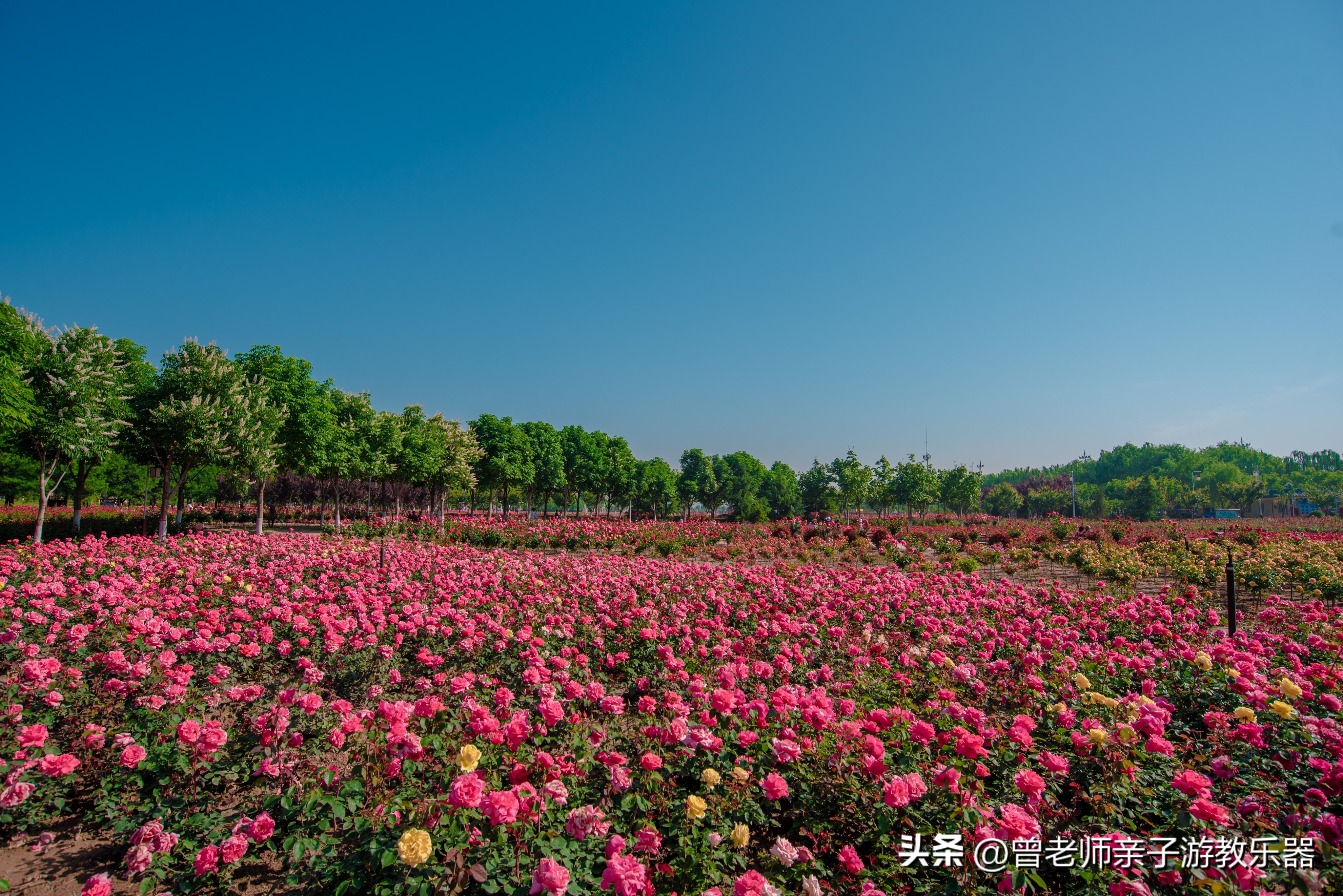 西安旅游景点免费推荐一日游攻略,西安旅游必去景点推荐一日游免费
