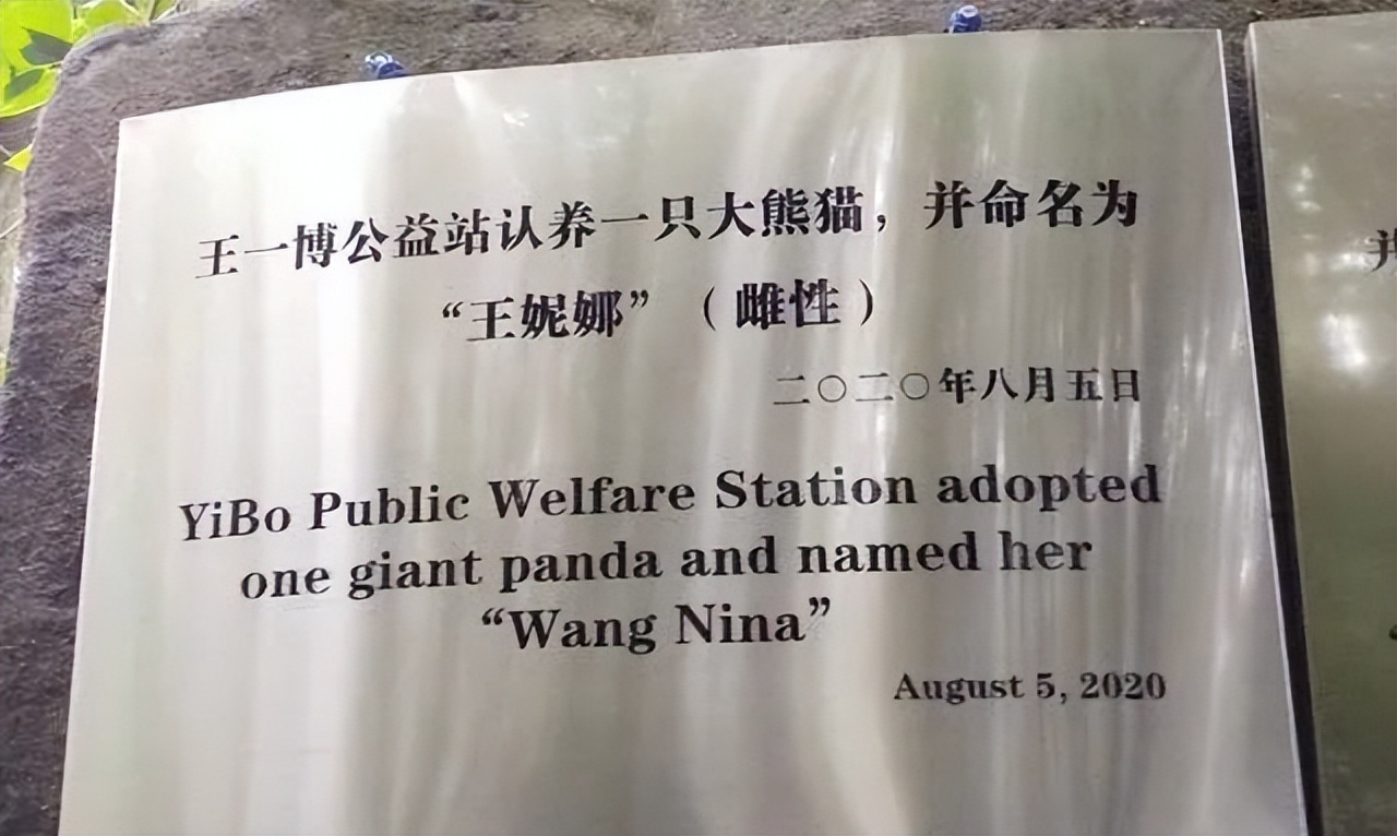 秒出100万！认养丫丫们背后，他们竟是最大赢家？