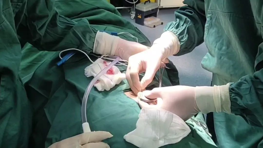 徐州附院泌尿外科,徐州医科大学附属医院泌尿科