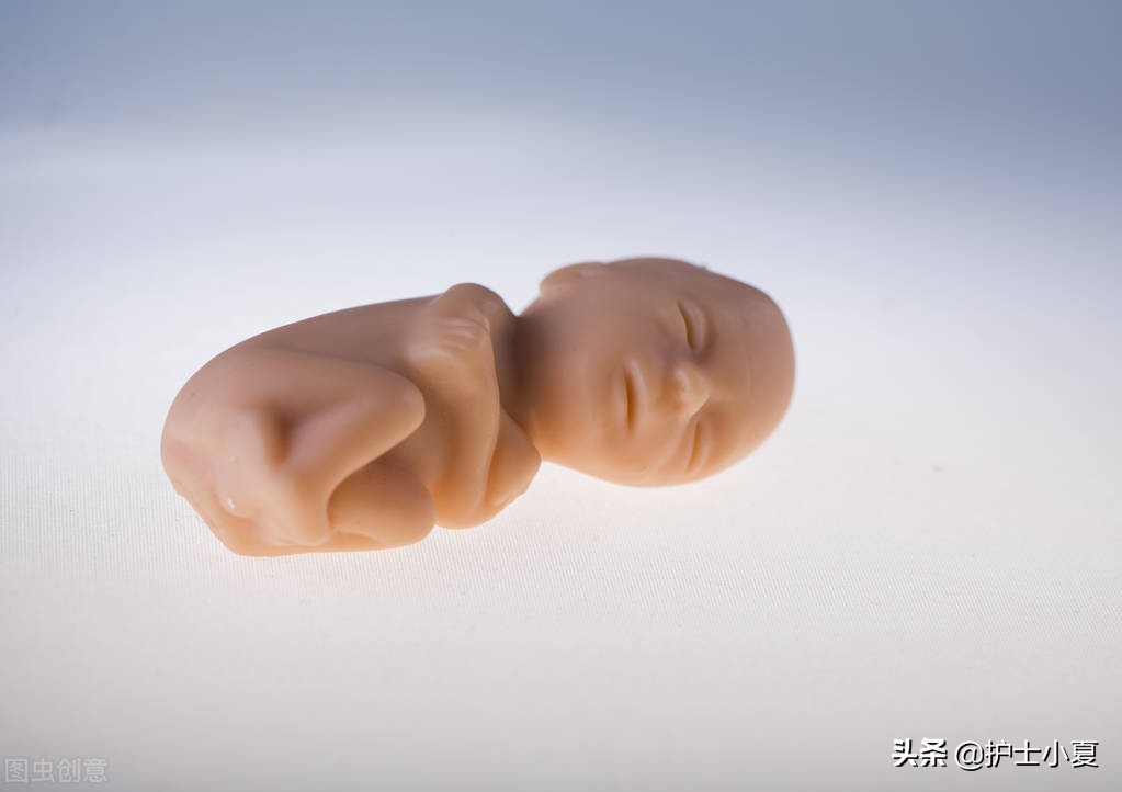 什么是习惯性流产,胚胎停育习惯性流产怎么调理