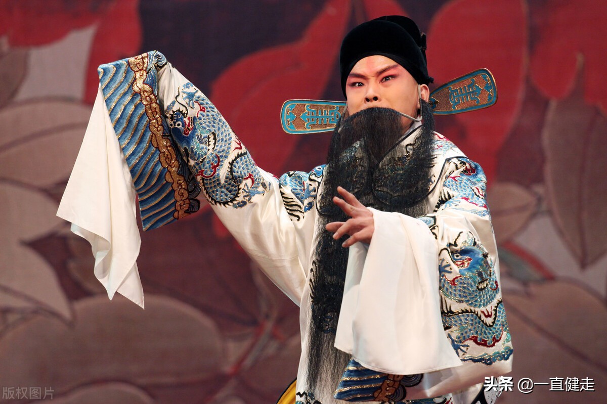 章回小说文学版,章回小说介绍