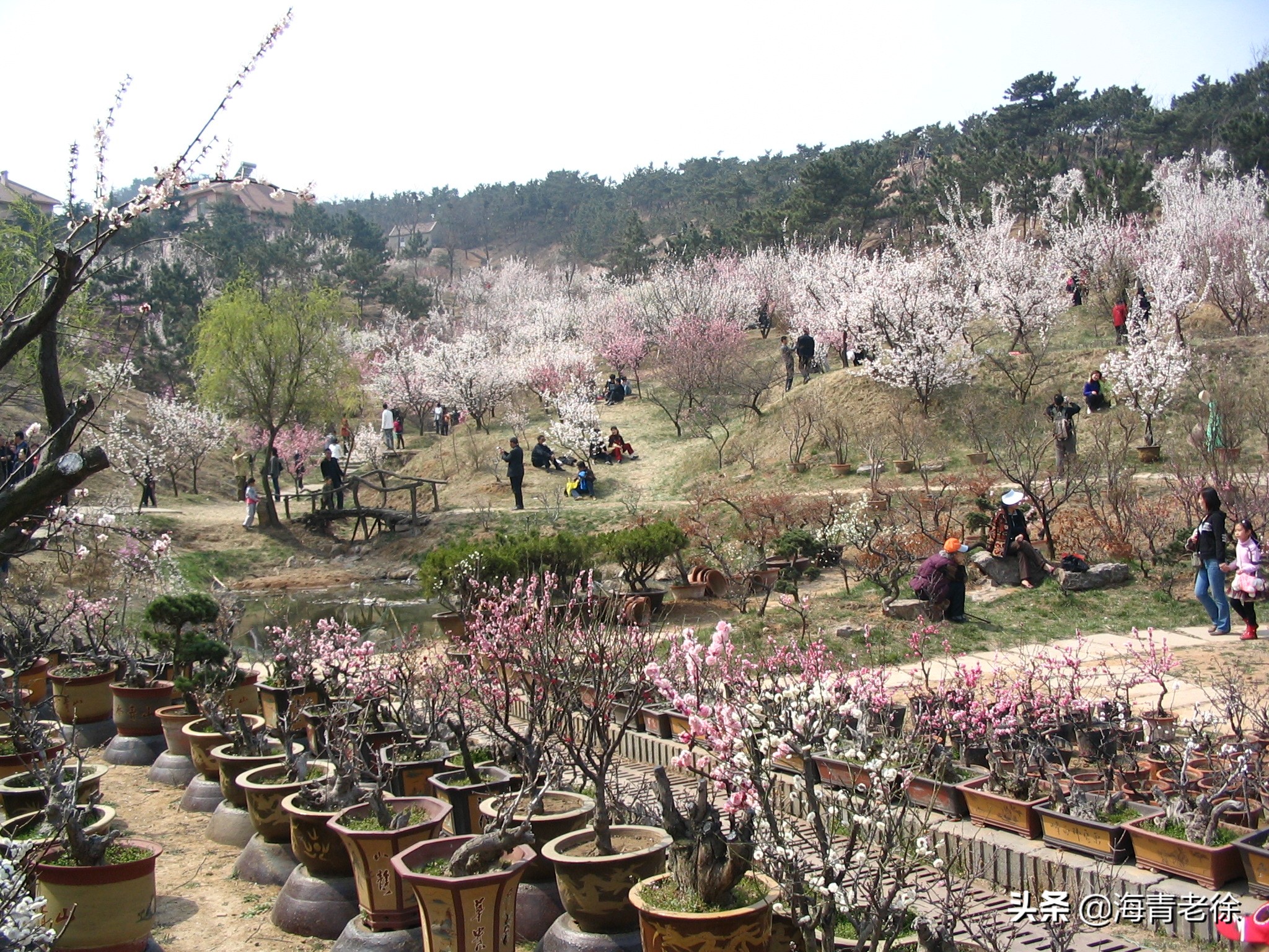 老徐新足迹,老徐自驾游视频