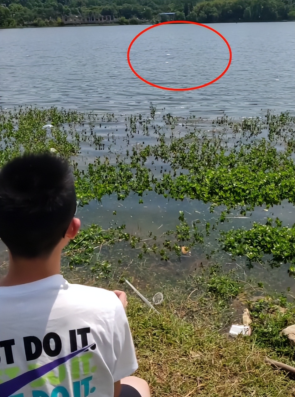 扑克牌真的能插进木板里吗,小孩扑克牌打穿木板