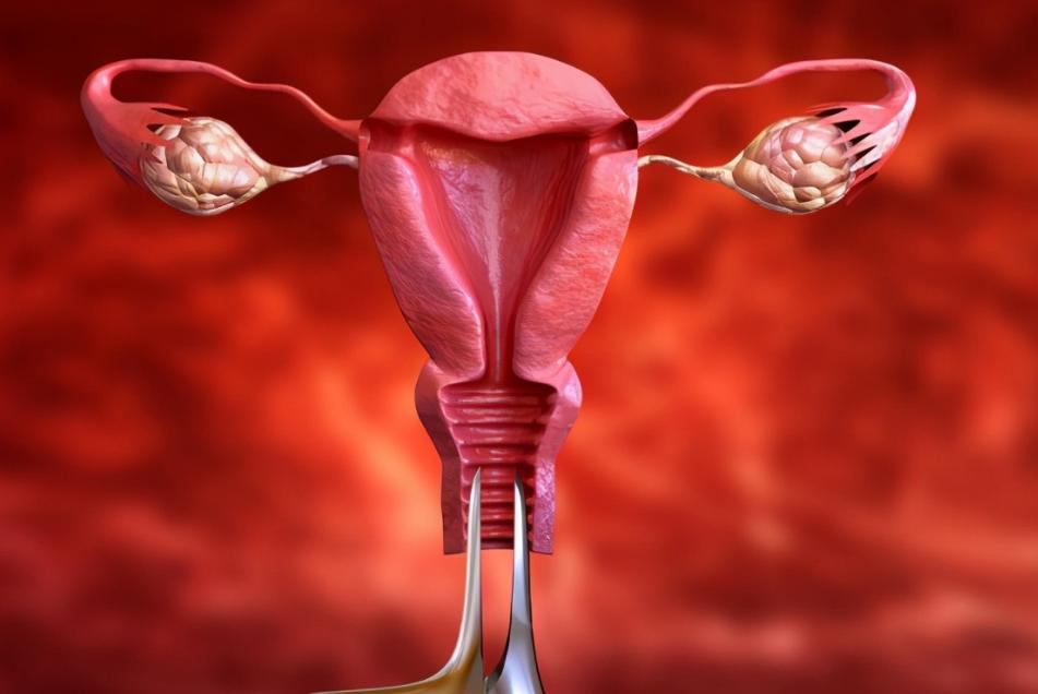 *生活性**时，女性*处私**总发出“噗噗”的放屁声？多和这4个原因有关