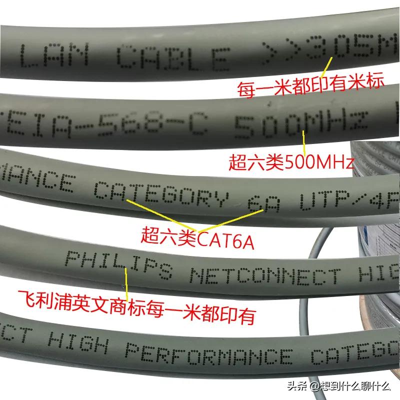 现在网线如何选择,最近大家都在用的网线是什么