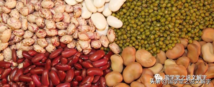 五谷丰登六畜兴旺完整视频,说文解字五谷