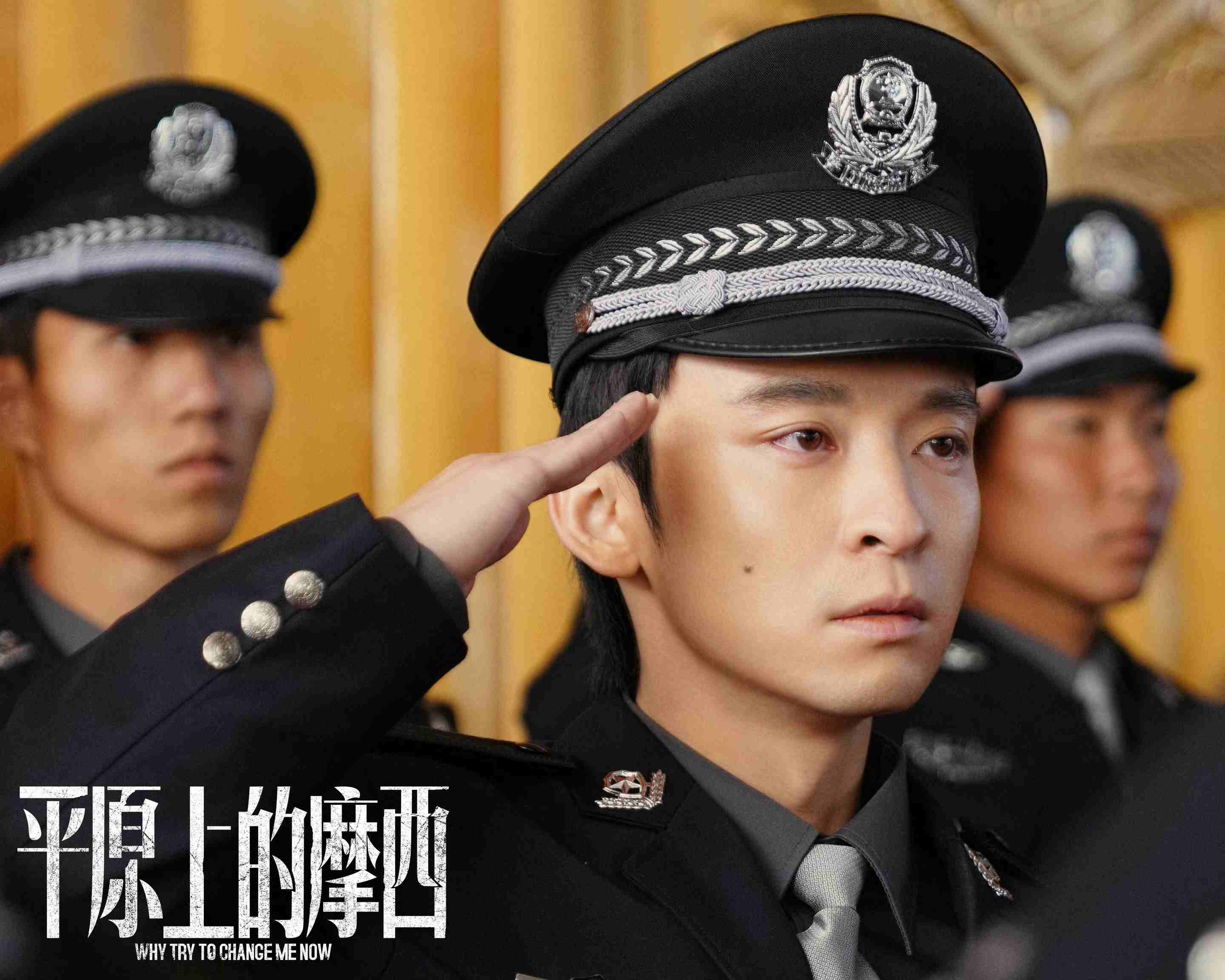 2023年最值得看的几部剧,2023年评分最高十部剧