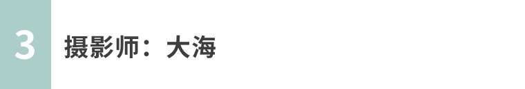 昆虫摄影艺术展,昆虫世界摄影欣赏