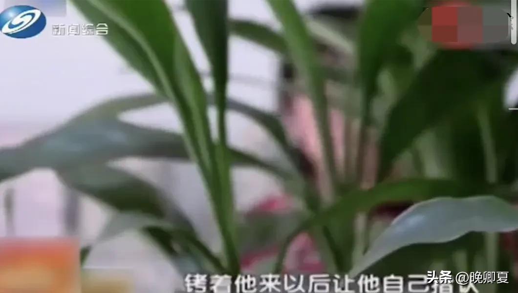 父亲侵犯到儿子的权益,父亲侵害自己的孩子能原谅吗