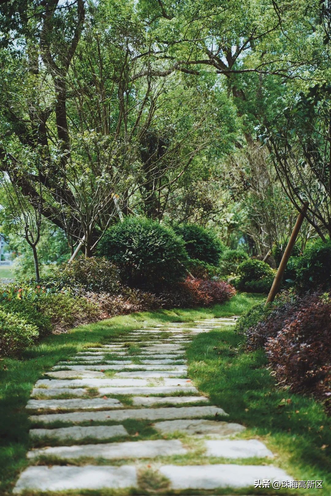 国庆小众游玩古镇美食,逛古镇品美食登山观景
