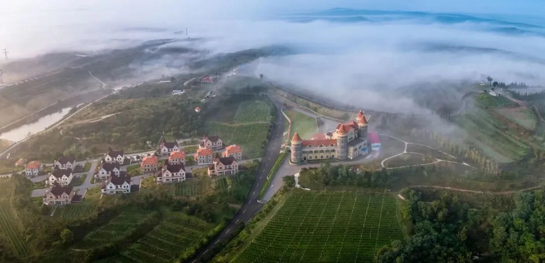 拉菲蓬莱珑岱酒庄正式开庄,拉菲蓬莱敦岱酒庄