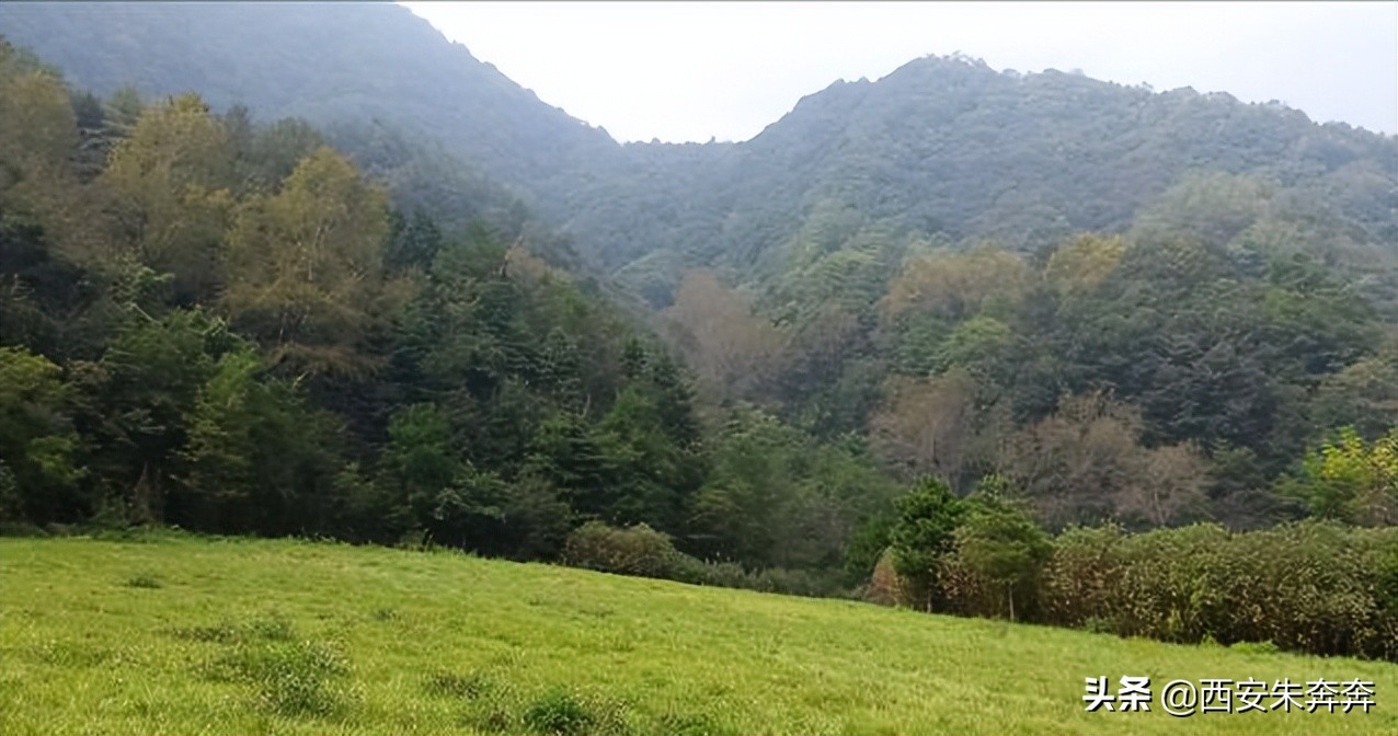 翠华山爬山攻略,翠华山爬山攻略一日游