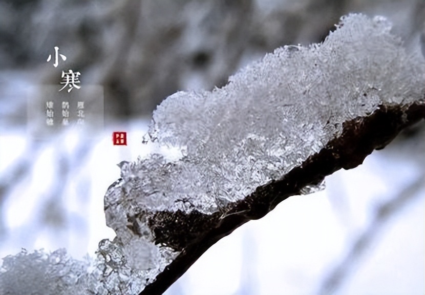 “小寒三件宝，赛过神仙老”，寒天时节吃点啥？这3样东西少不了