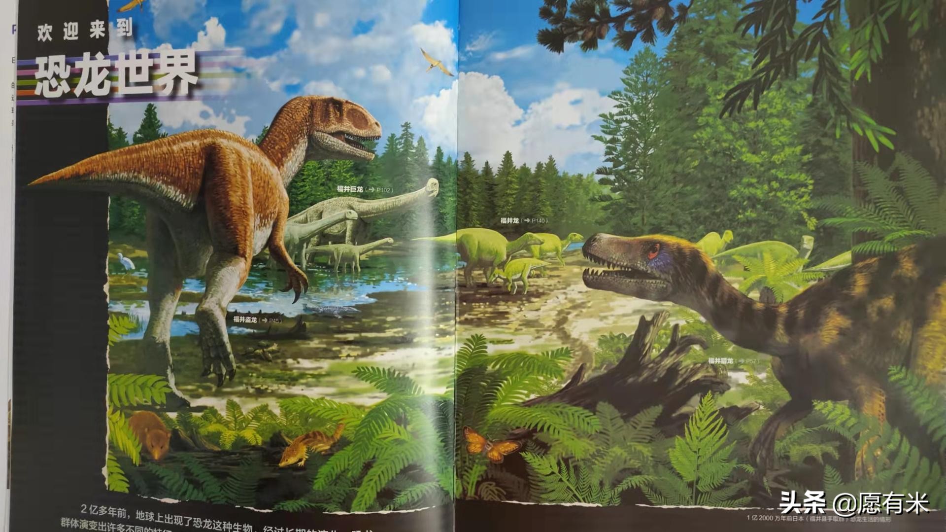 恐龙图片大全大图和恐龙名称,恐龙世界各种恐龙图片