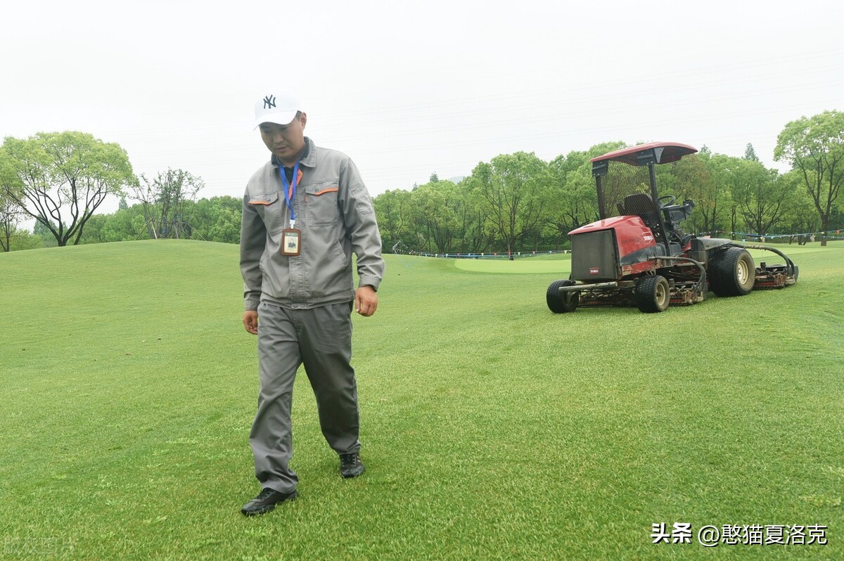 世界杯的草坪是真草吗,世界杯足球场草皮是硬的还是软的