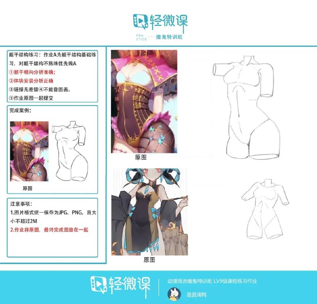 新手人体结构练习素材,人体造型练习