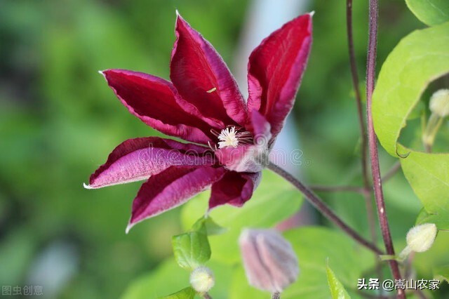 岁月无痕时光静好的散文,原创散文岁月极美