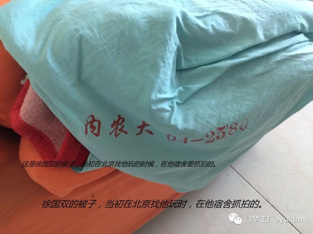 你好母校作文800字,你好母校作文