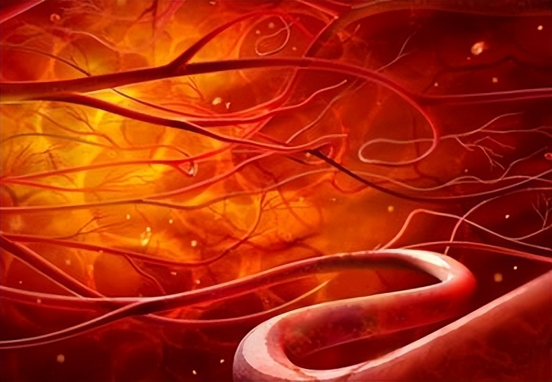 血液浓度高会引起哪些病,血液浓度高有什么好处