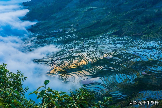 云南必去的4个景点,云南网红打卡景点