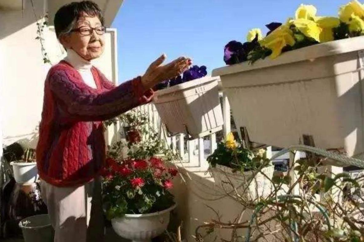 日本107岁老人笹本恒子,107岁日本女摄影师