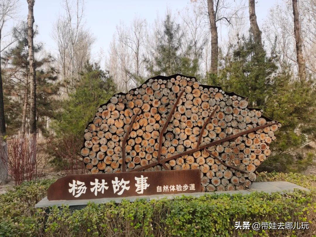 在森林公园里玩耍,中国可以骑行的森林公园