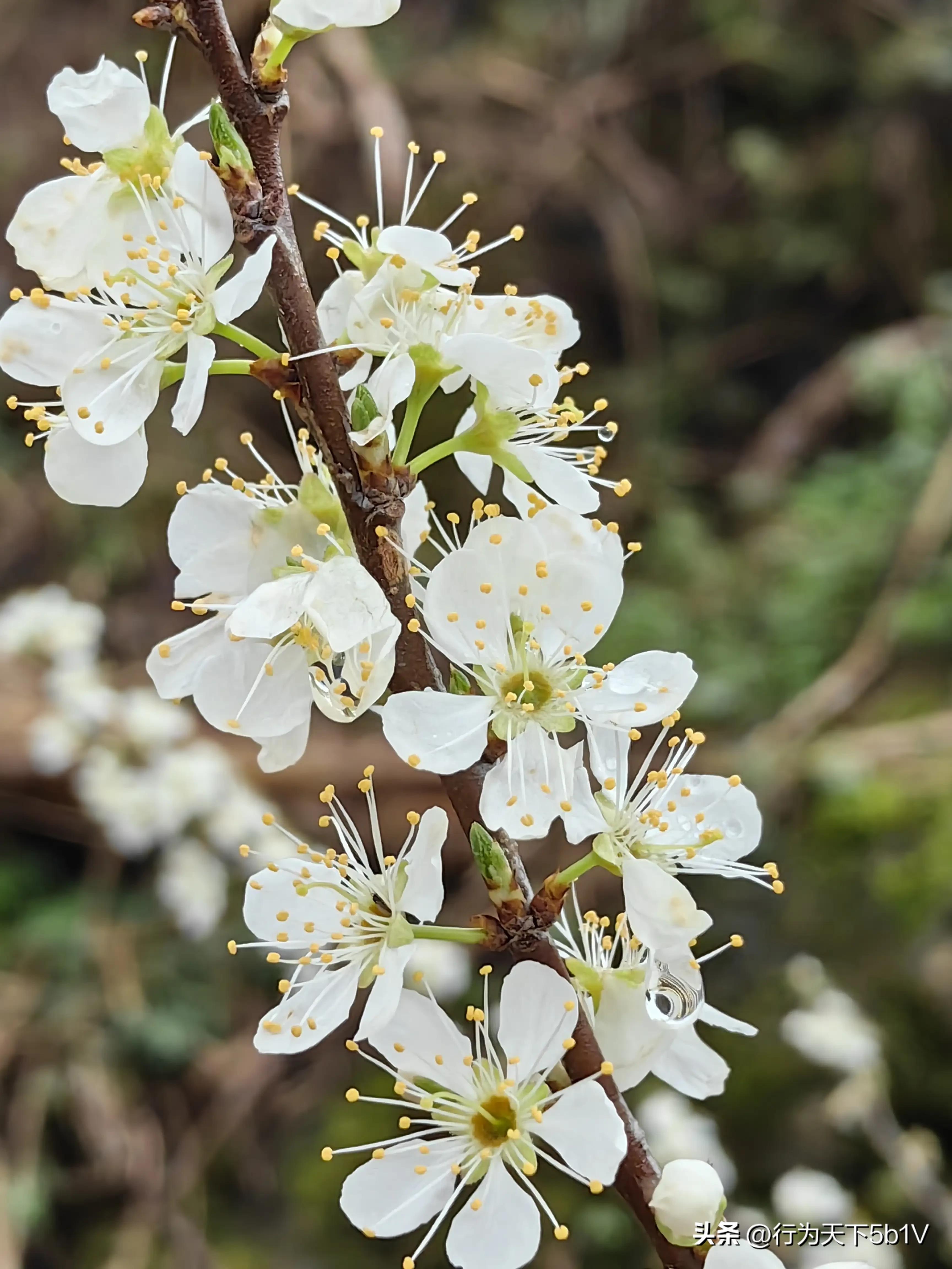 【平乐十里画廊鬼斧神工伟人石像】穿越唐*平宋**乐榕津千年古镇！