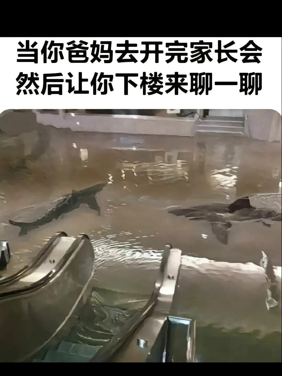 人间最真实搞笑的图片,搞笑图片人间真实系列