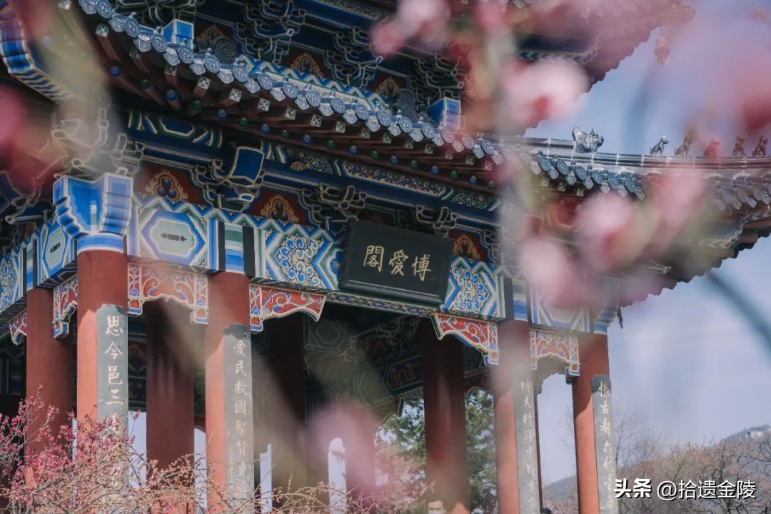 南京看梅花的地方,南京梅花里房价