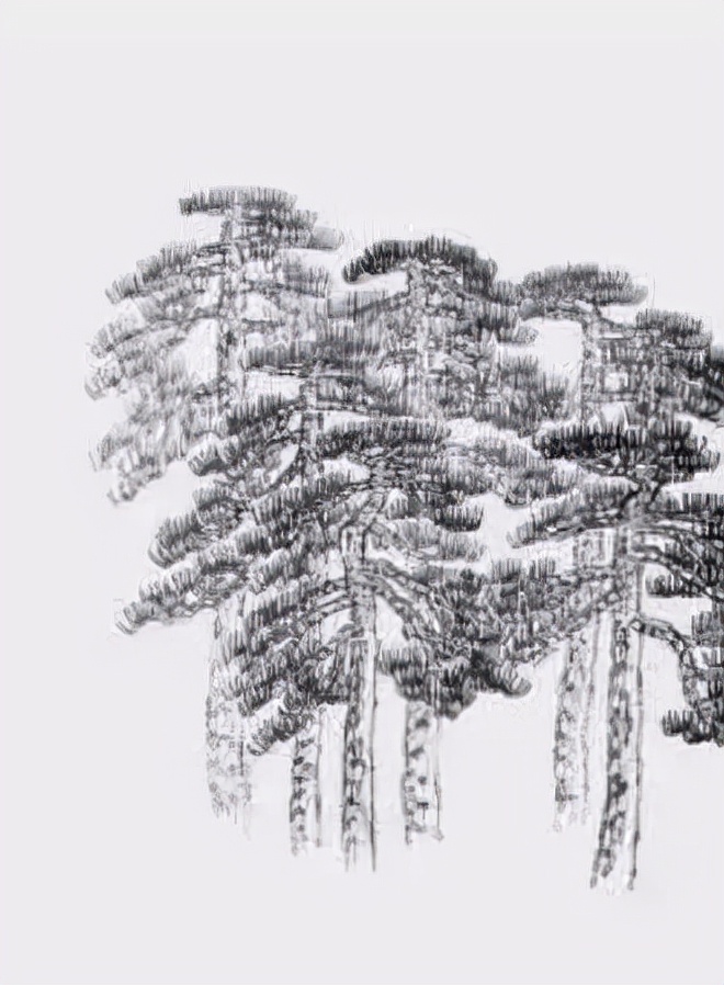 松树复杂画法,松树的十种画法