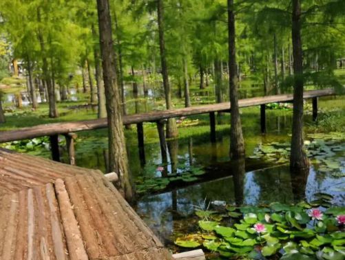 安徽来安故事,安徽古代来安县