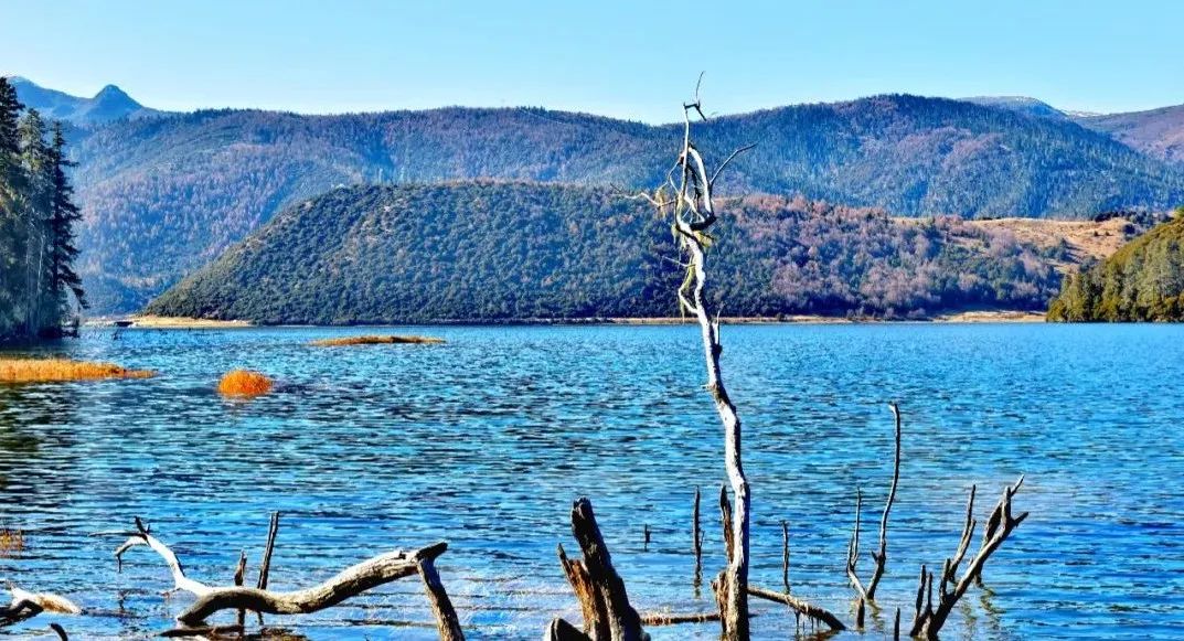 尼汝秘境,香格里拉尼汝村徒步环线图