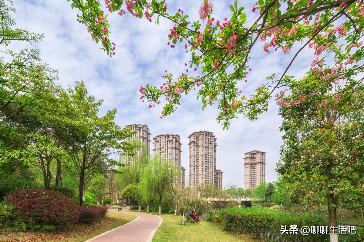 我拿到10万奖金,小姑子:嫂子给我买个包吧,不贵才3万