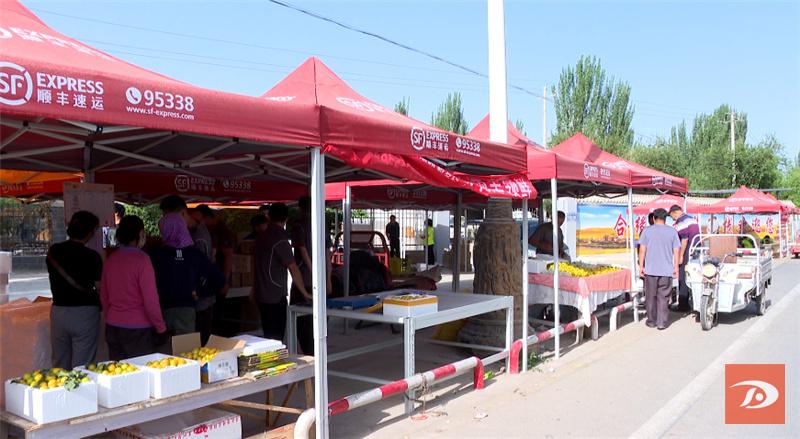 敦煌特产敦煌李广杏成熟上市,敦煌李广杏和其它李广杏的区别