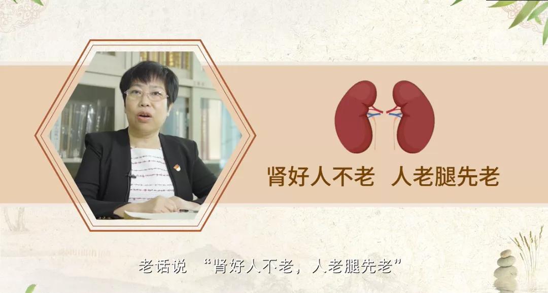 科普｜八桂中医大讲堂（27）：中医药防治老年虚骨痛腿