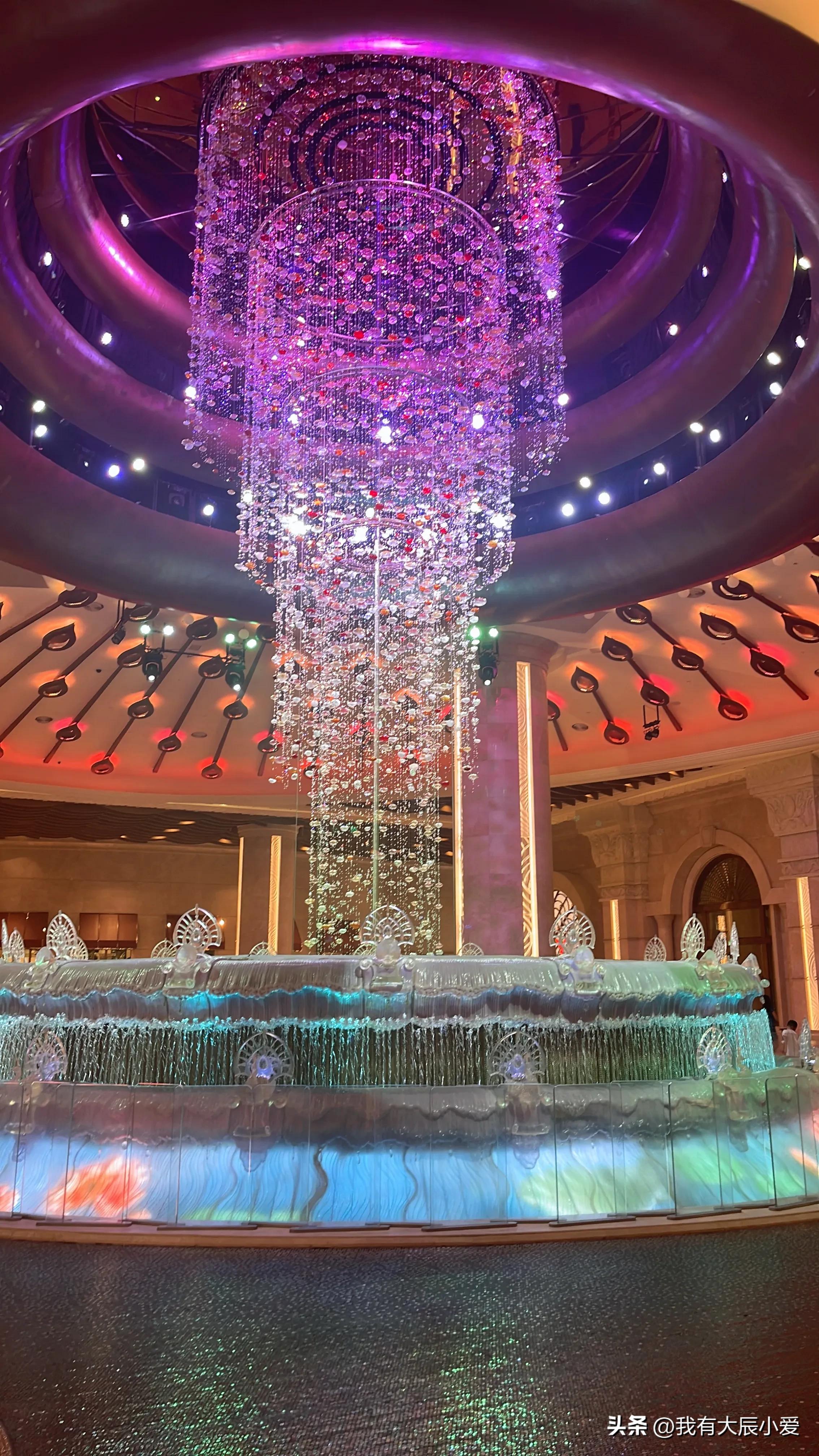 去澳门带小孩攻略,带娃去澳门好玩吗