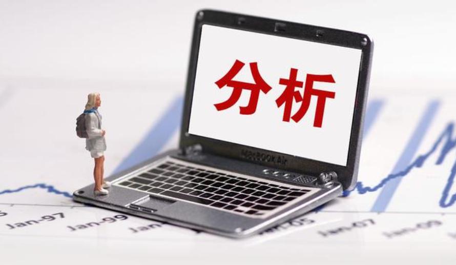 丁某、龙某、张某诉大地公司决议撤销纠纷案之评析