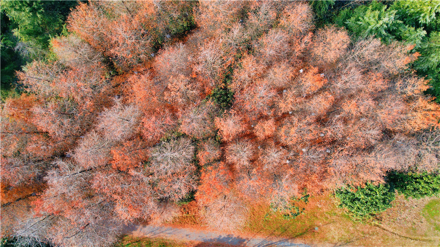 苏州东太湖游玩攻略,新年苏州旅游攻略三天两夜