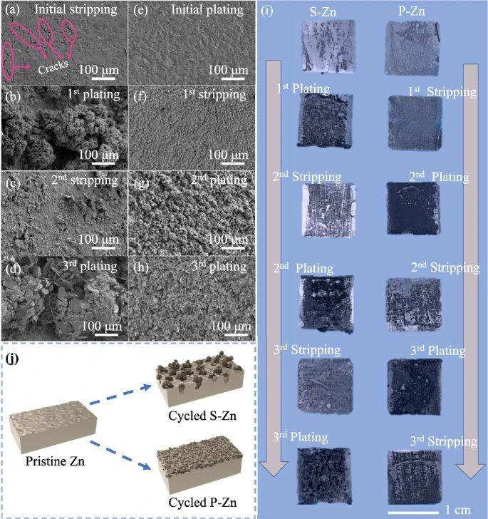 有望应用于大规模储能，港城大实现均匀锌电镀/剥离的预沉积策略