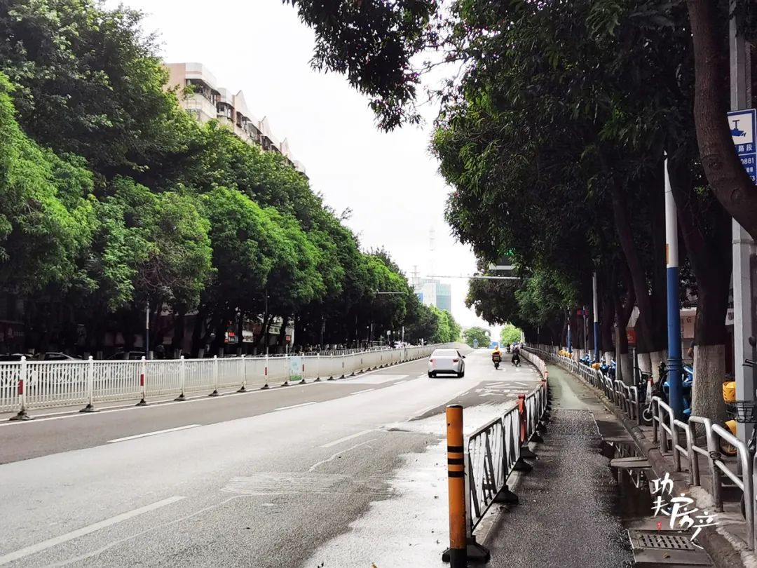 揭秘!10万+的天悦也很多*鸡电**!*鸡电**棚最豪的竟是它