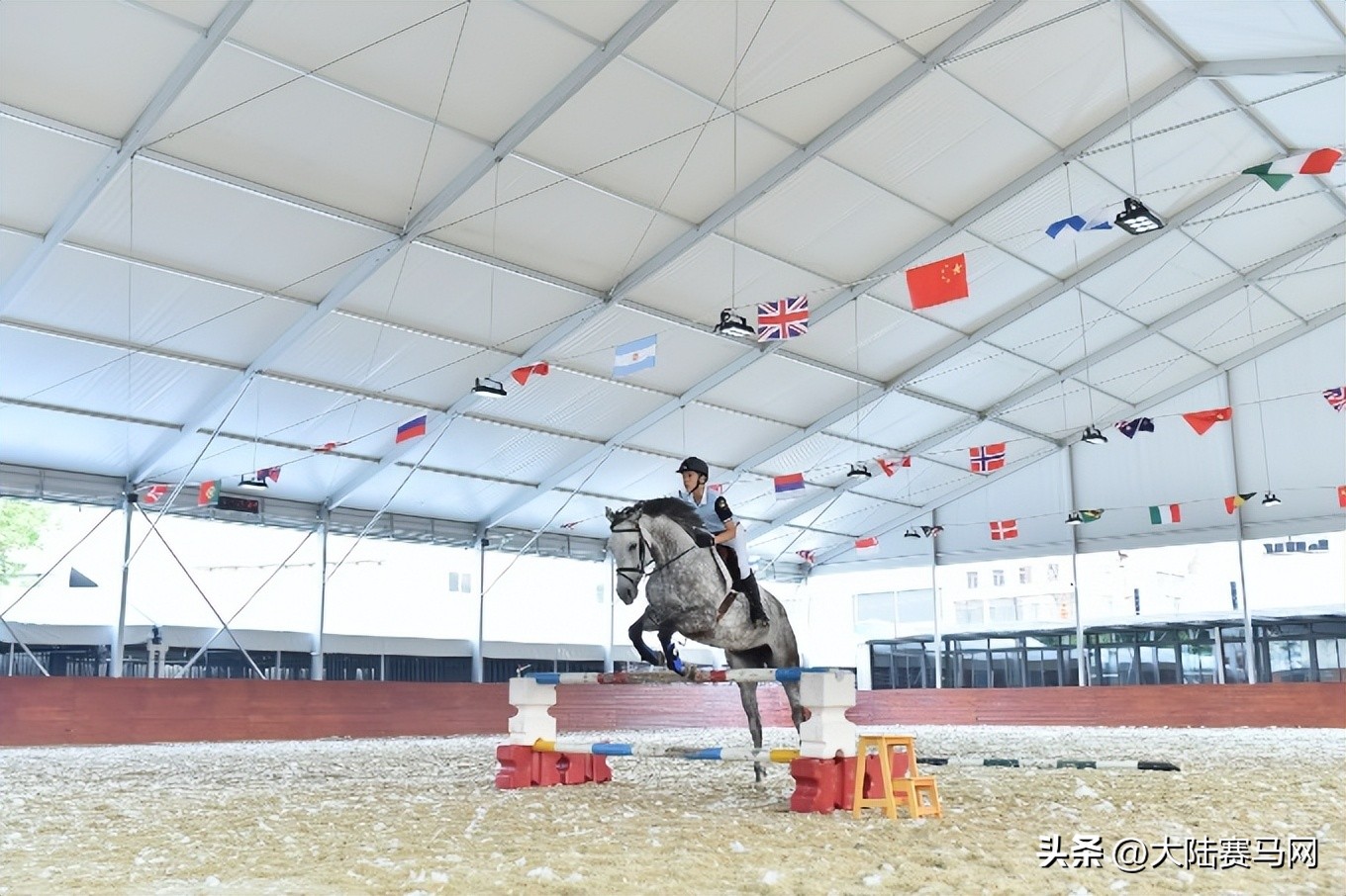 上海爱久马术俱乐部影视基地,上海爱久马术俱乐部马匹寄养