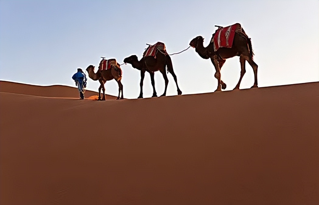 9成人都不知道的内蒙漠南神秘之旅丨沙漠迪士尼+外星球+骑马