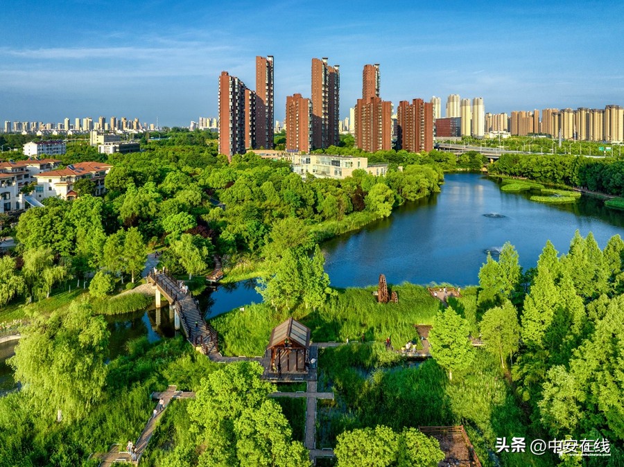 合肥湿地公园好去处,安徽合肥秀美风景