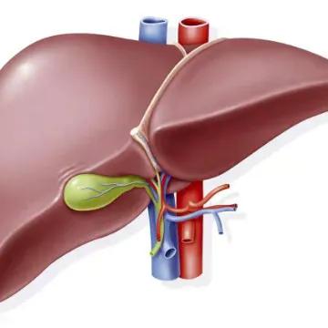 肿瘤患者尿液呈茶色,小便呈茶色尿常规正常