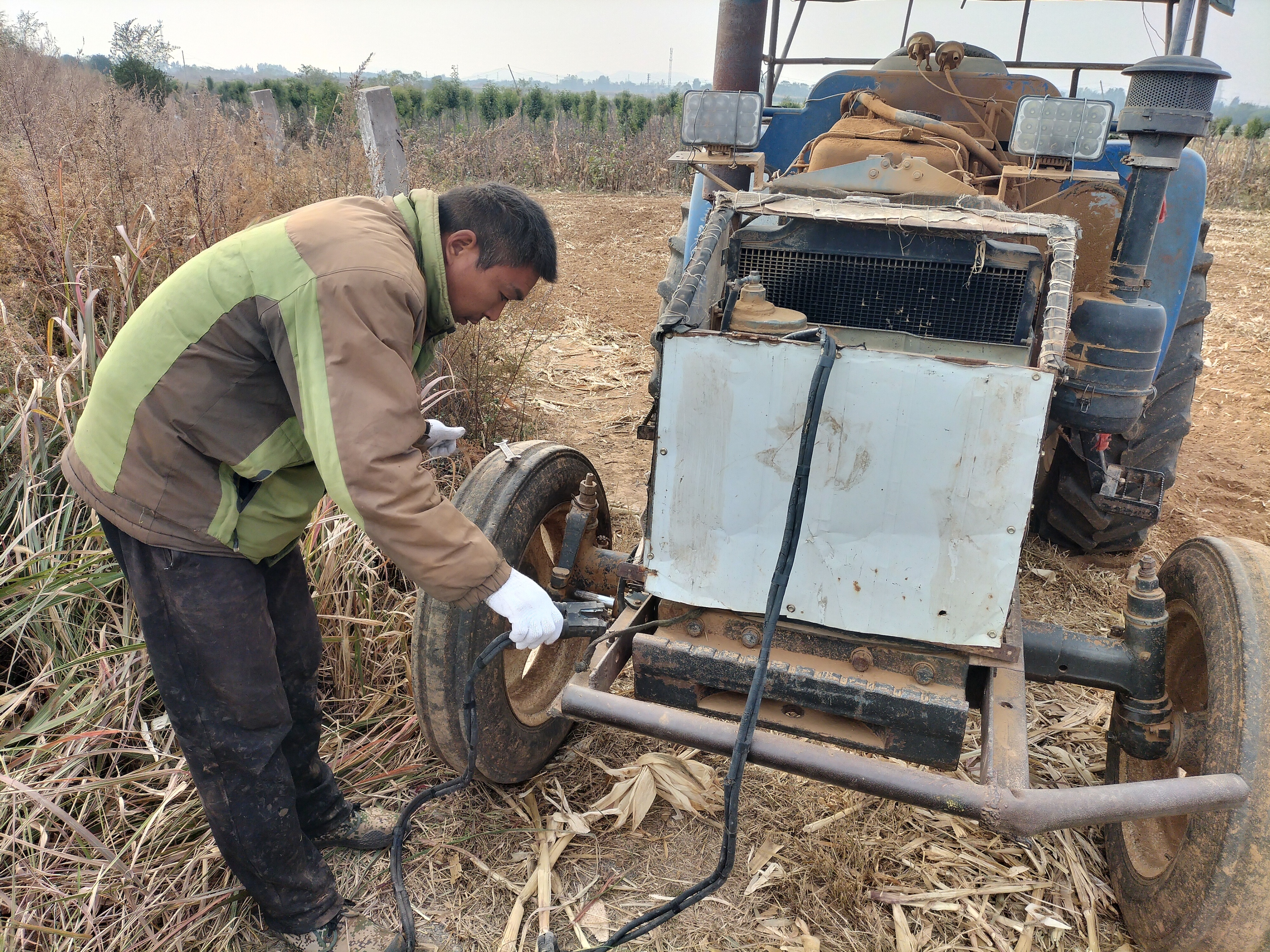 乡村养殖什么最可靠最赚钱,养殖什么经营模式最赚钱