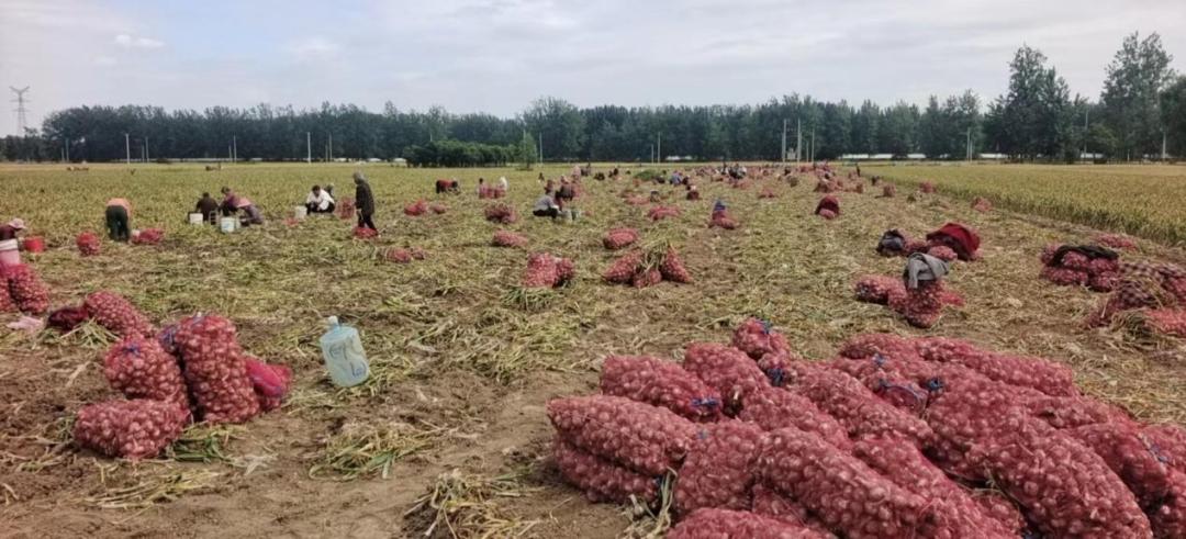 新征程吹响新号角总结,新征程继往开来谱新篇