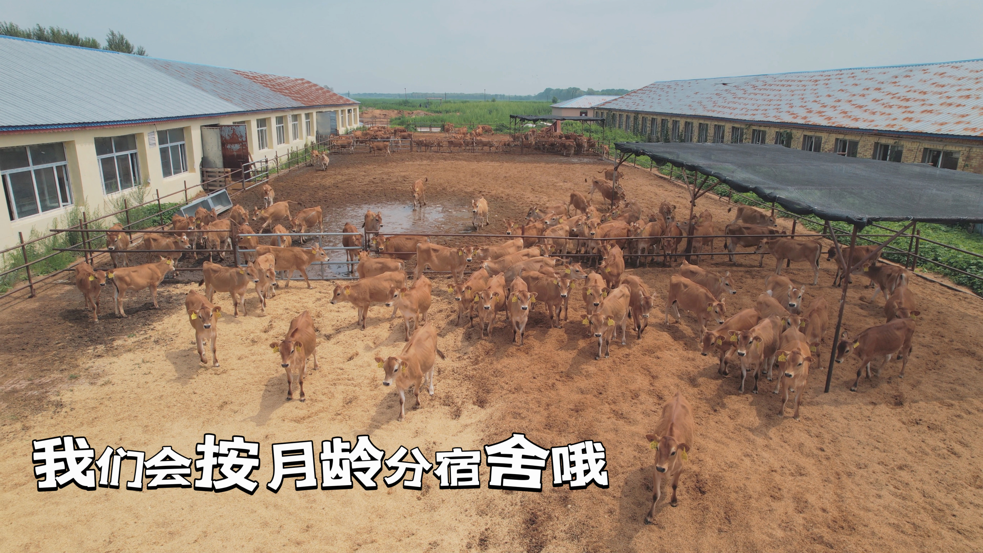 万家宝娟姗牛的自我介绍