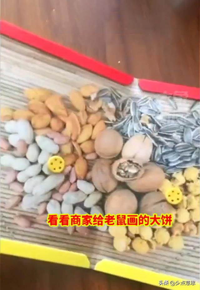 女子买粘画大饼粘鼠板后续 (画大饼粘鼠板后续)